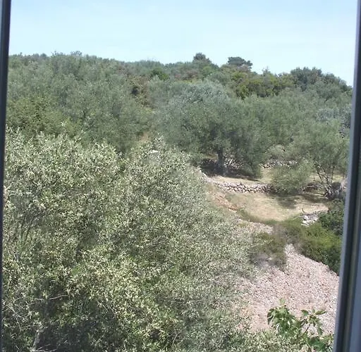 Mileva Apartamento
